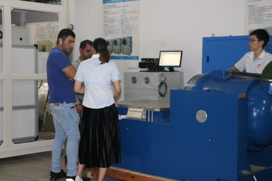 Tavolo agitatore a vibrazione ad alta frequenza per elettrodinamica Big Force Accelerazione da 100 g
