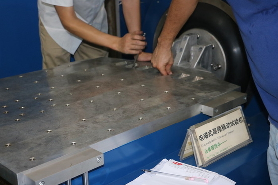 L'agitatore ad alta frequenza di vibrazione per i ricambi auto incontra l'iso 13355, ISTA 3A e ISTA 6 - Amazon